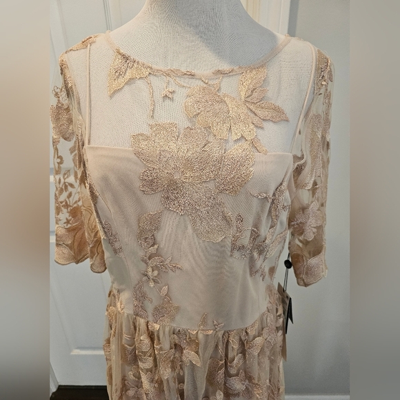 Adrianna Papell Size 12 Blush gold mesh embroidered short illusion dress New Tag - Picture 4 of 14